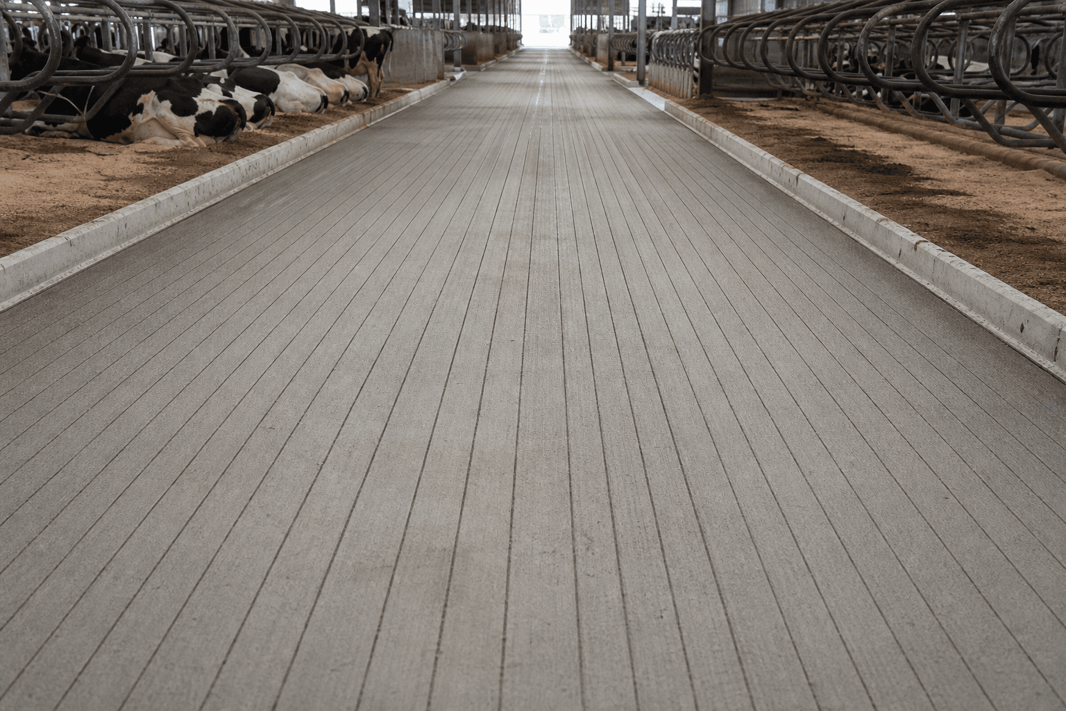 Long freestall barn alley with straight-line grooving